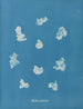 Nostoe commune - Anna Atkins — näkymä teoksesta