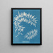 Sargasses plumeuses - Anna Atkins — kehystetty taideteos seinällä