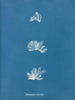 Schizonema comoides - Anna Atkins — näkymä teoksesta