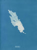 Ulva linza - Anna Atkins — näkymä teoksesta