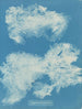 Dîmes de Zygnema - Anna Atkins — näkymä teoksesta