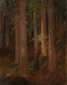 Metsä - Anna Berent — näkymä teoksesta
