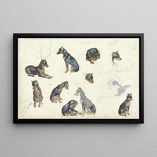 Anna Maria Kruijff - Studies van een hond.webp