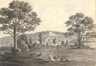 Anne Rushout - Clayberry from Field May 1829.webp