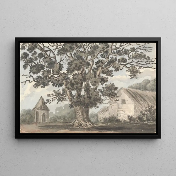 Anne Rushout - Queen Elizabeths Oak near Finborough Hall.webp