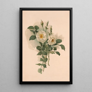 Annie Nowell - White roses on satin.webp