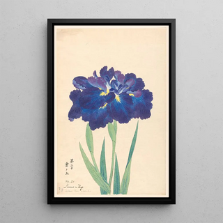 Anonymous - Above the Clouds Kumo no Uye.webp