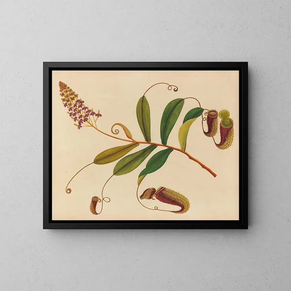Album de aquarelles de fruits et fleurs asiatiques Pl10 - Anonyme — kehystetty taideteos seinällä