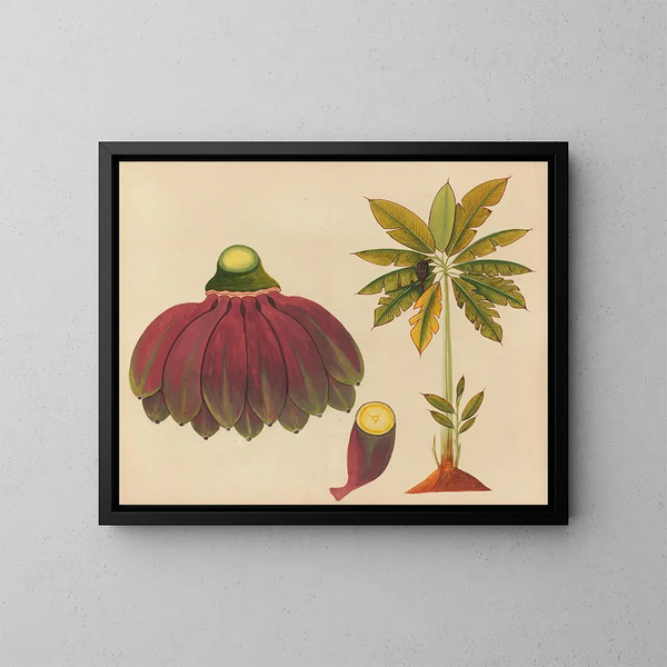 Album de aquarelles de fruits et fleurs asiatiques Pl15 - Anonyme — kehystetty taideteos seinällä