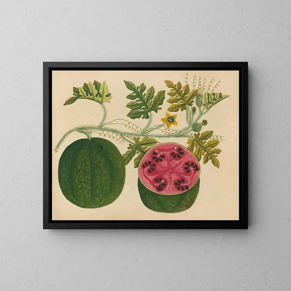 Album de aquarelles de fruits et fleurs asiatiques Pl29 - Anonyme — kehystetty taideteos seinällä