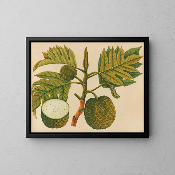 Album de aquarelles de fruits et fleurs asiatiques Pl30 - Anonyme — kehystetty taideteos seinällä