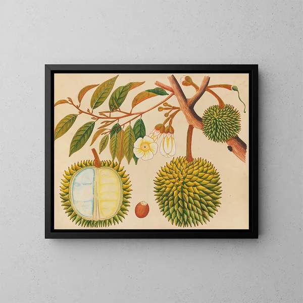 Album de aquarelles de fruits et fleurs asiatiques Pl31 - Anonyme — kehystetty taideteos seinällä