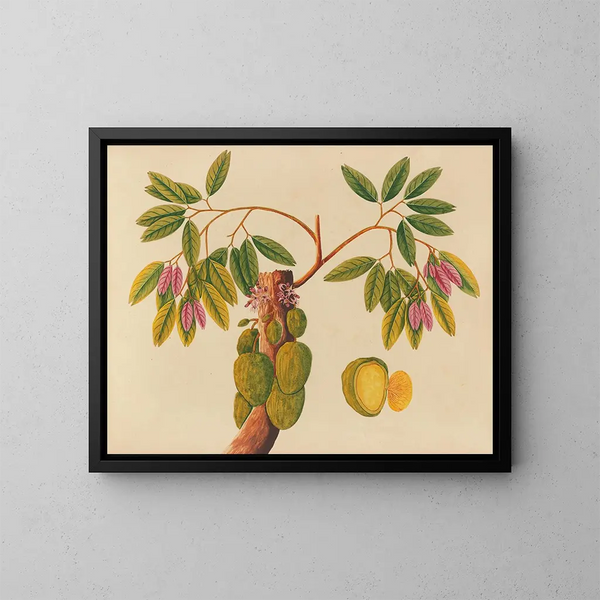 Album de aquarelles de fruits et fleurs asiatiques Pl38 - Anonyme — kehystetty taideteos seinällä