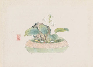 Anonymous - Bonsai kabenzu Pl09.webp
