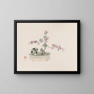 Anonymous - Bonsai kabenzu Pl27.webp