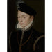 Charles IX 1550-1574 Ranskan kuningas - Nimetön — kehystetty taideteos seinällä