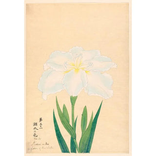 Anonymous - Color of the Lake Kosui no Iro.webp