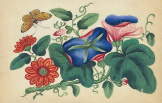 Anonymous - Flowers and butterfly.webp