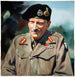 Yleiskuva Sir Bernard Montgomery - Anonyymi — näkymä teoksesta