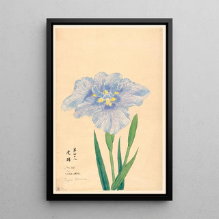 Anonymous - Tigers Dance ToraOdori.webp