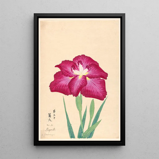 Anonymous - Torch Light Kagaribi.webp