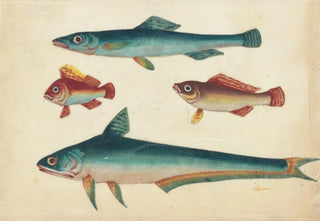 Anonymous - Two green fish two brown fish.webp