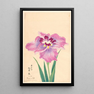 Anonymous - Waterfall of Maples Momiji no Taki.webp