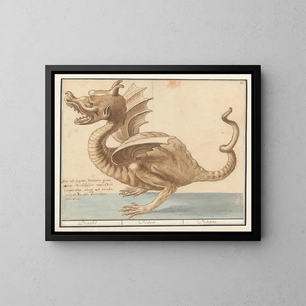 Dragon - Anselmus Botius de Boodt — kehystetty taideteos seinällä