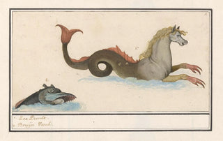 Anselmus Botius de Boodt - Hippocampus en vis fantasiedieren 1 ZeePeerdt 2 Bruijn Visch.webp