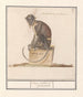 Surikatti Cercopithecini Cerco pithecus prasianus - Anselmus Botius de Boodt — näkymä teoksesta