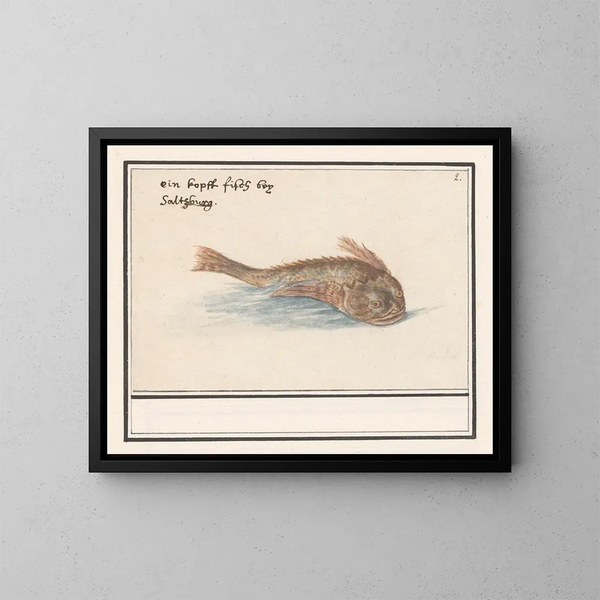 Poisson inconnu - Anselmus Botius de Boodt — kehystetty taideteos seinällä