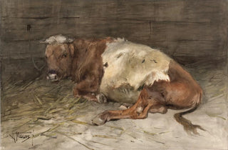 Anton Mauve - Liggende jonge stier.webp