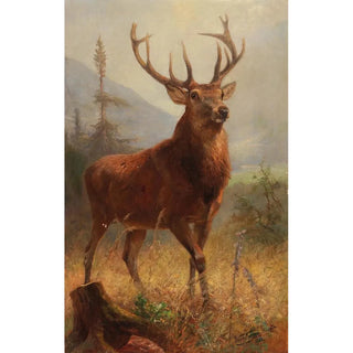 Anton Weinberger - Trophy Stag in an Open Landscape.webp