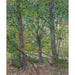 Maalauksen jäljennös Arbres - Vincent van Gogh
