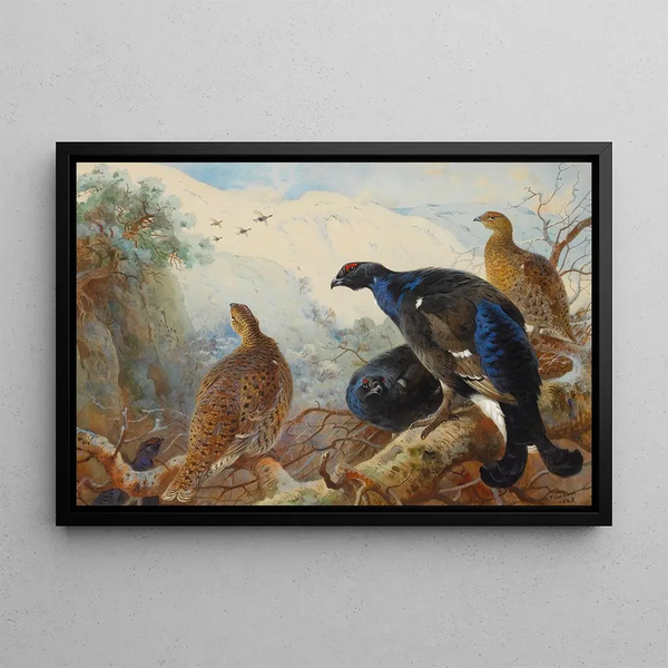 Grand tétras - Archibald Thorburn — kehystetty taideteos seinällä