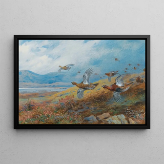 Archibald Thorburn - Driven Grouse.webp