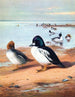 Œil d'or - Archibald Thorburn — näkymä teoksesta
