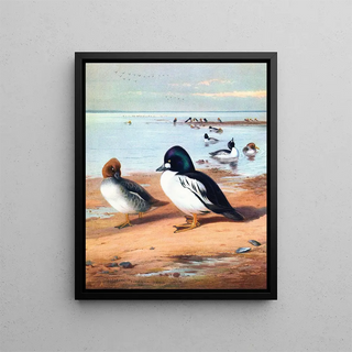 Archibald Thorburn - GoldenEye.webp
