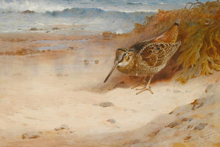 Archibald Thorburn - Hungry And Homeless.webp
