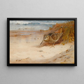 Archibald Thorburn - Hungry And Homeless.webp