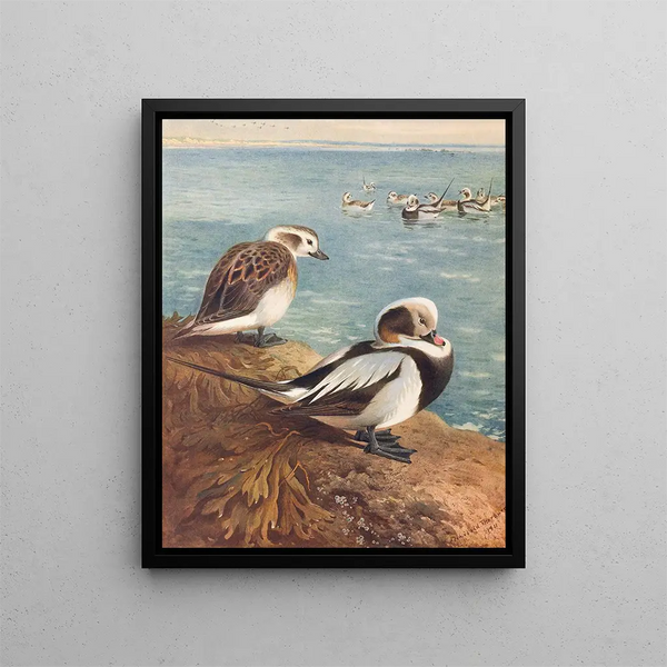 Canard laqué hivernal - Archibald Thorburn — kehystetty taideteos seinällä