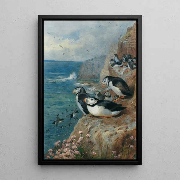 Maalauksen jäljennös Macareux ja tordanpingviinit - Archibald Thorburn