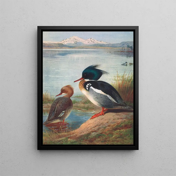 Harle huppé - Archibald Thorburn — kehystetty taideteos seinällä