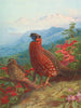 Le Satyre tragopan - Archibald Thorburn — näkymä teoksesta