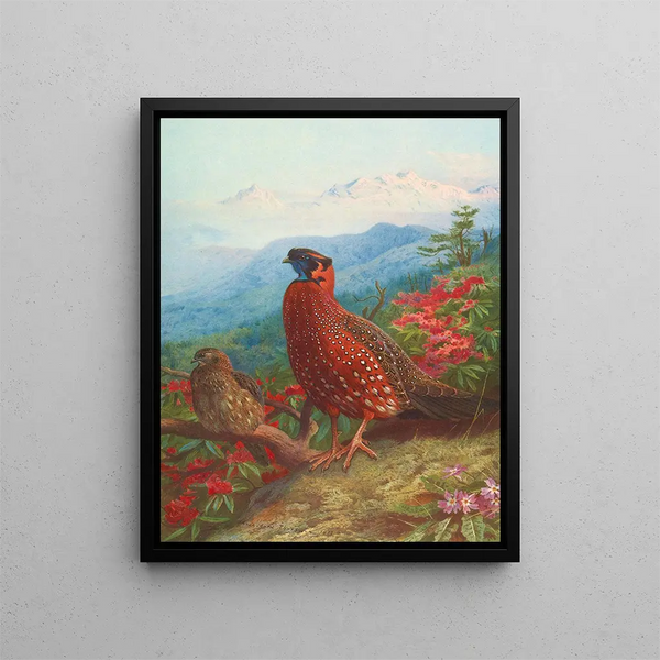 Le Satyre tragopan - Archibald Thorburn — kehystetty taideteos seinällä
