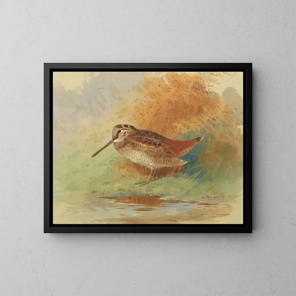 Bécasse au bord de l'eau - Archibald Thorburn — kehystetty taideteos seinällä