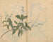 Carnet de croquis Pl005 - Ariyoshi Kondo — näkymä teoksesta