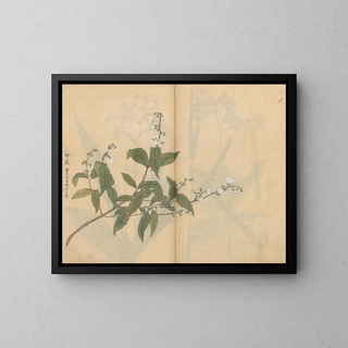 Ariyoshi Kondo - Sketchbook Pl005.webp