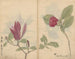 Carnet de croquis Pl008 - Ariyoshi Kondo — näkymä teoksesta