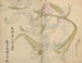 Carnet de croquis Pl012 - Ariyoshi Kondo — näkymä teoksesta